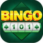 BINGO 101